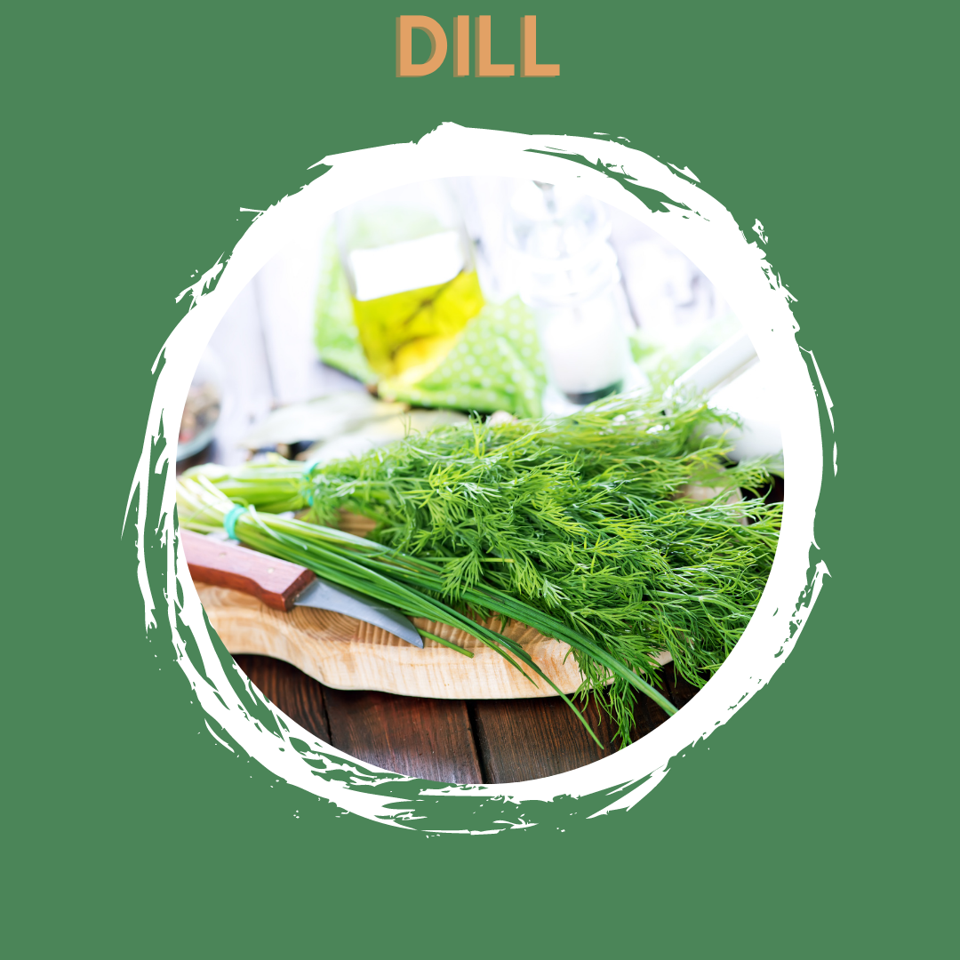 Dill