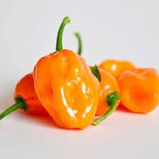 Habanero Set of 4