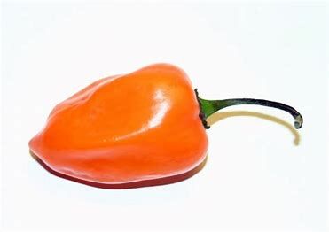 Habanero
