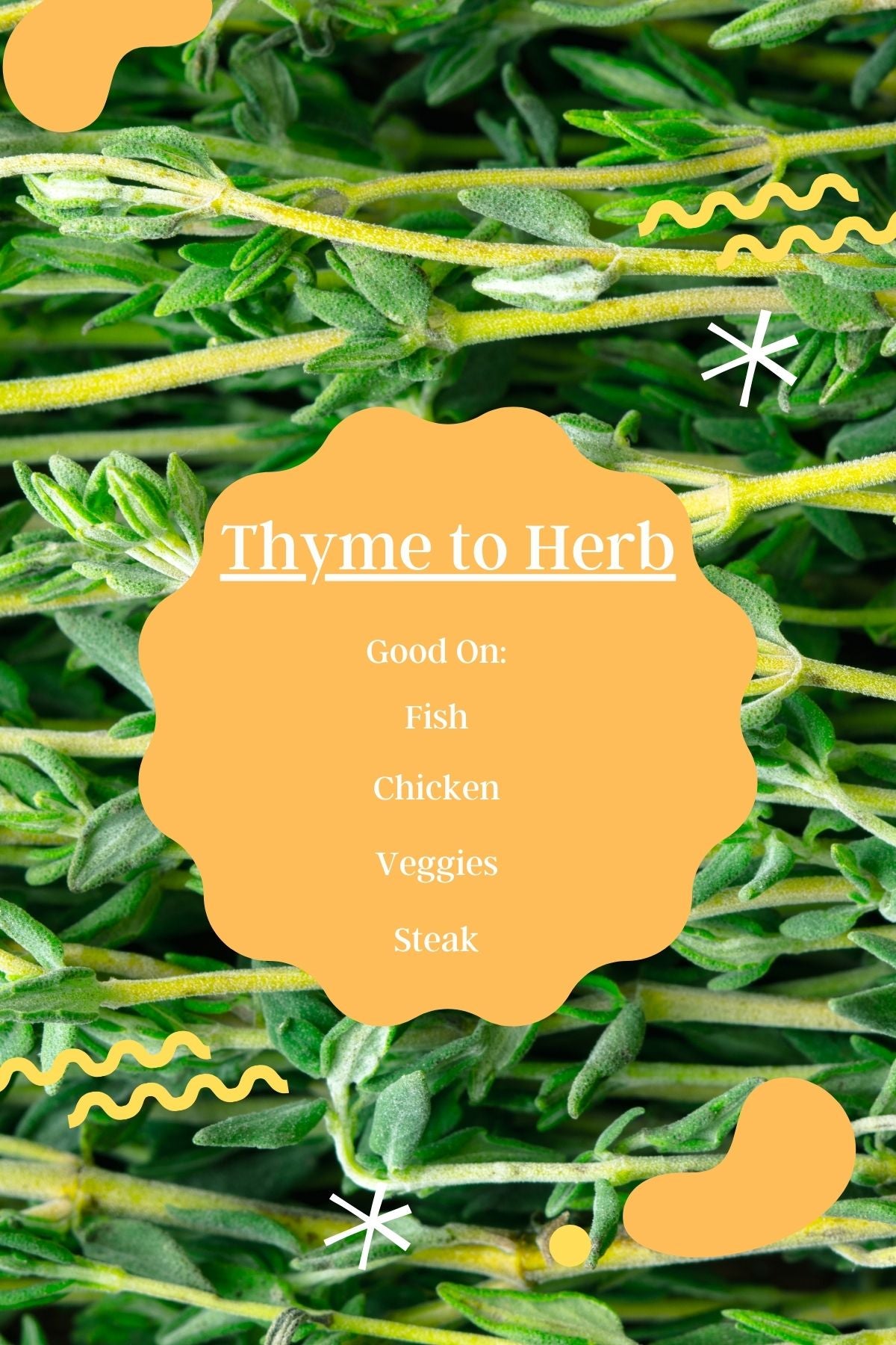 Thyme To Herb