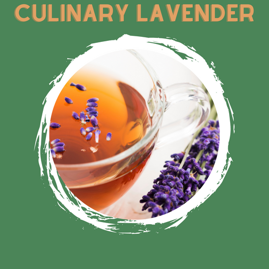 Culinary Lavender