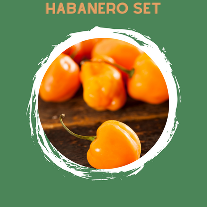 Habanero Set of 4